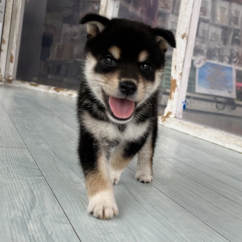 写真 2022-08-20 11 17 04