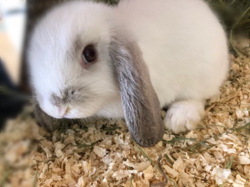 AD5894E5-ED7A-4F25-A16A-1940AEB13E22