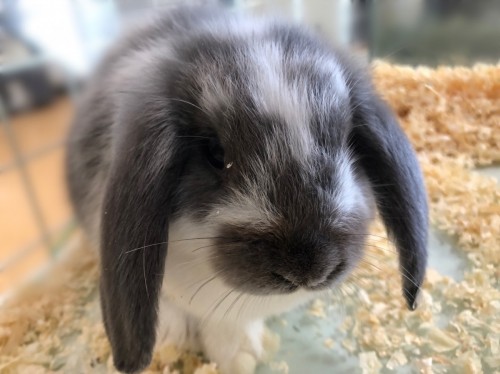 AF352800-8798-4124-81B4-518360789E20