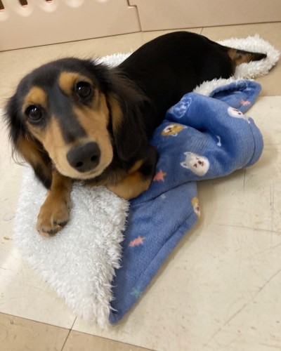 B233B8A4-8957-4107-AD16-83674334A573