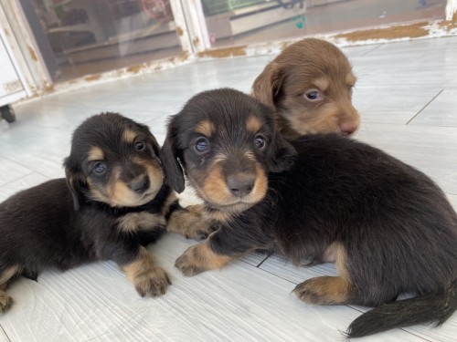 写真 2022-08-03 12 08 39