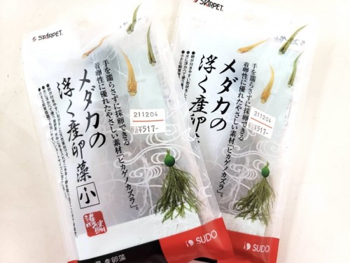 写真 2022-08-19 10 46 22 (3)