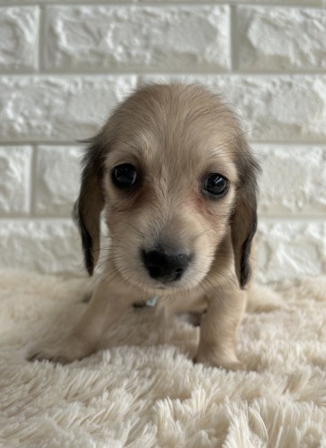 写真 2022-08-28 13 37 12