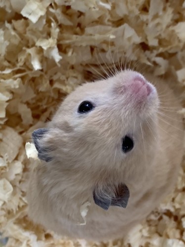 写真 2022-08-12 13 45 41 (1)