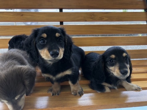 写真 2022-08-29 11 24 25