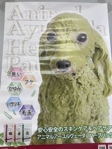 写真 2022-08-15 11 40 13