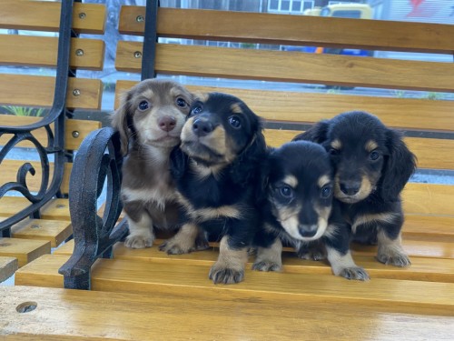 写真 2022-08-17 14 07 18