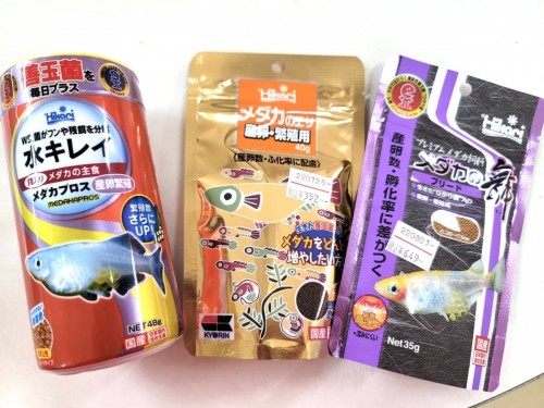 写真 2022-08-19 10 46 21