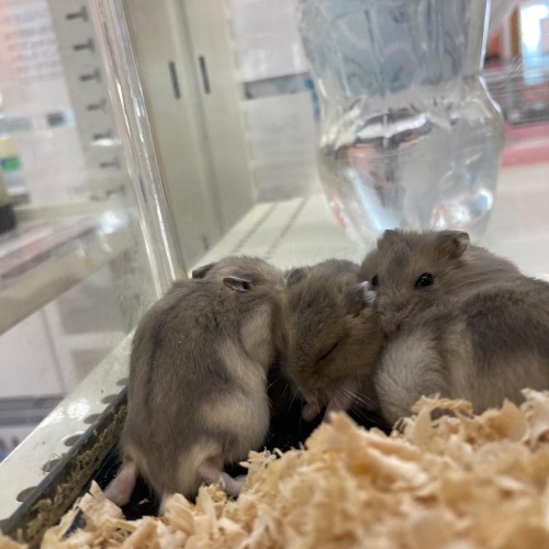 3076E6D5-B58B-46CC-923F-829187D742E1