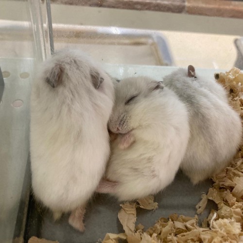 7BF3A3D0-A04F-4B1D-9C2D-42F4C017B628