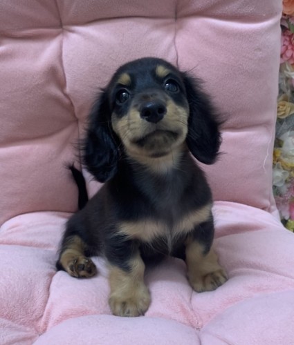 80219991-B80D-4B93-AE15-8C09763B7B7A