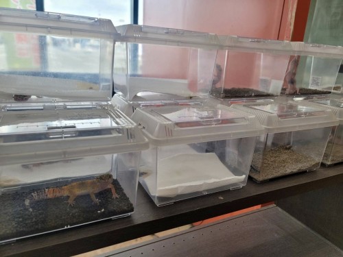 88217CDE-30C6-4BF6-B893-2E1623F94B7A