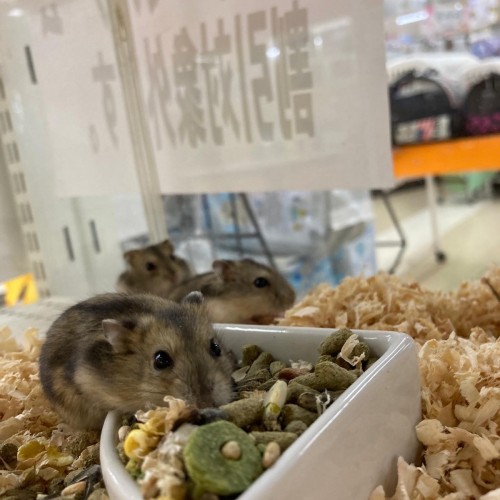 A67E5FD7-8713-4C22-B20C-5D5B972F12F4