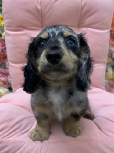 B1F3986E-928E-4D64-AB62-7248643DEF54