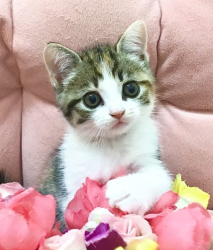 BDB3507B-7CCA-4C13-AA4F-2819C0F0A635