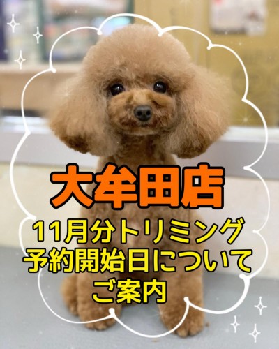 CC4C9946-AF49-4E57-8A98-018B7B2F7EBB