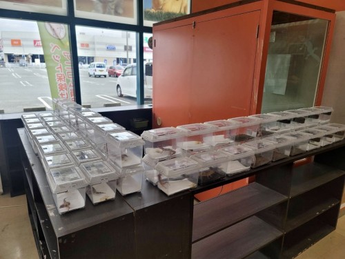 D2068F7F-D159-4BE0-9897-CEA48C806605