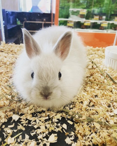 7AF28975-F5A2-4FF8-AA9A-DE980BB21BA1