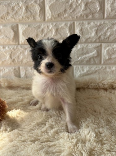 写真 2022-11-17 13 47 49