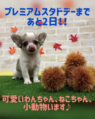 C75D83A5-9F4D-4439-AF3A-A157CFC19298