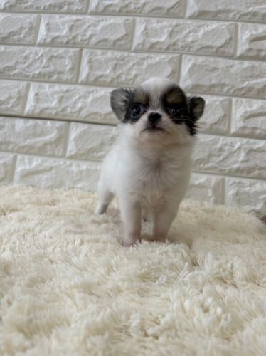 写真 2022-12-21 14 18 38 (6)