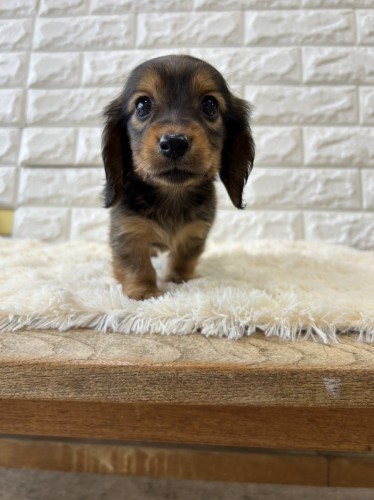 写真 2022-12-21 14 18 38 (4)