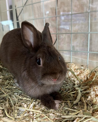 写真 2022-12-15 10 30 06 (1)