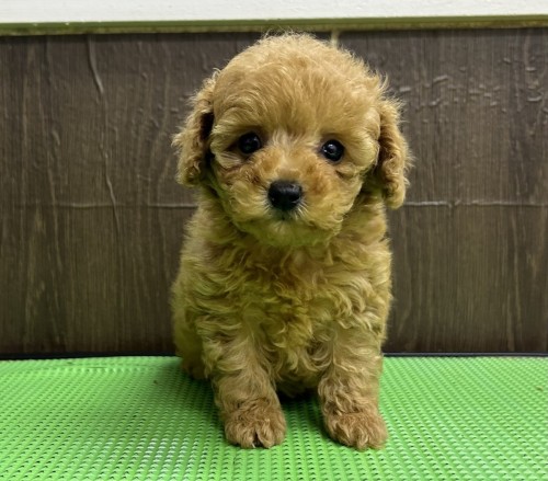 写真 2023-01-15 14 29 20 (1)