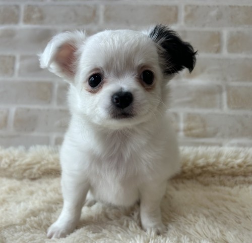 写真 2023-02-23 10 47 33