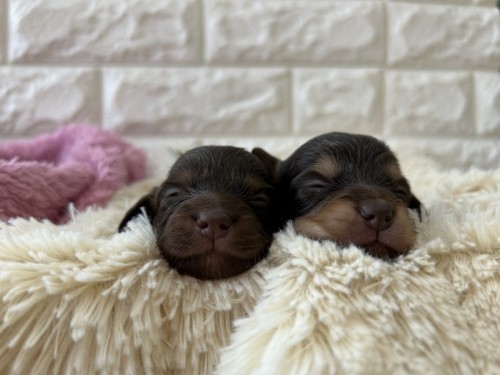 写真 2023-02-25 14 47 06