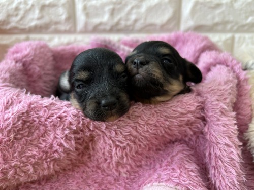 写真 2023-02-25 14 48 45