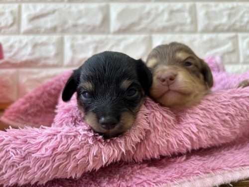 写真 2023-02-25 14 40 54