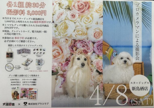 写真 2023-03-09 11 22 01