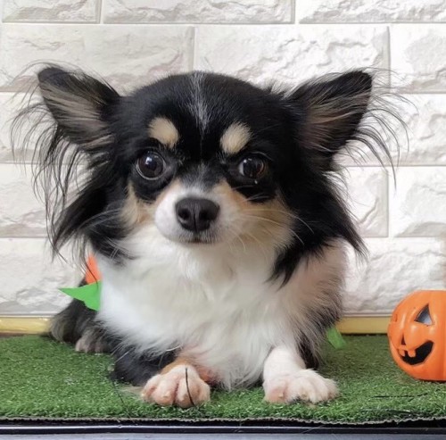 写真 2023-03-08 17 43 37