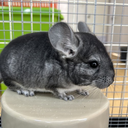 写真 2023-02-28 10 36 49