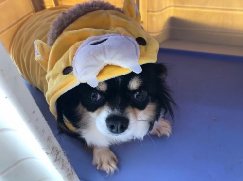 写真 2023-03-13 17 16 25