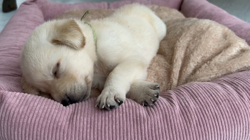 写真 2023-05-20 10 26 52