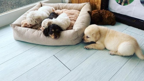 写真 2023-05-20 10 33 01