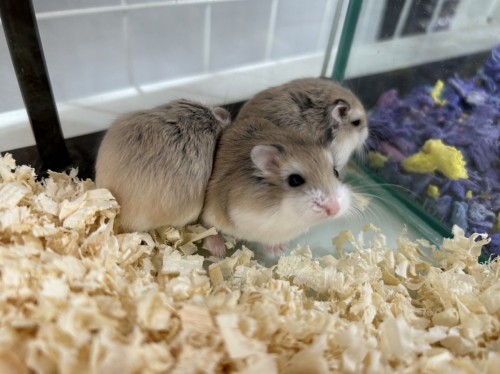 2023-05-12 14.57.53-1