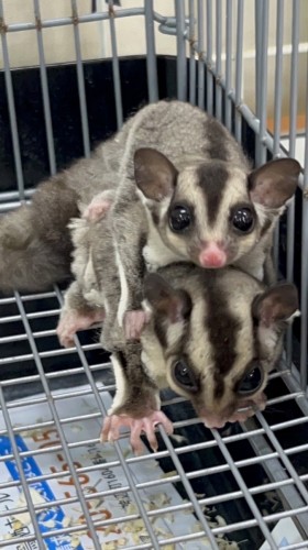 2023-05-12 14.57.53-2