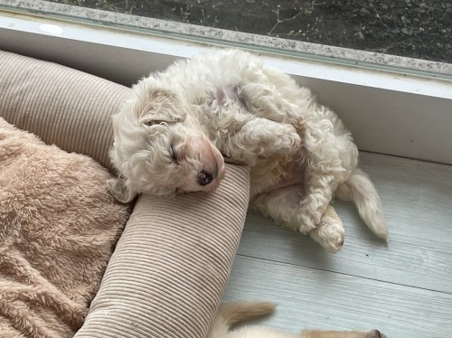 写真 2023-05-20 12 34 32 (1)