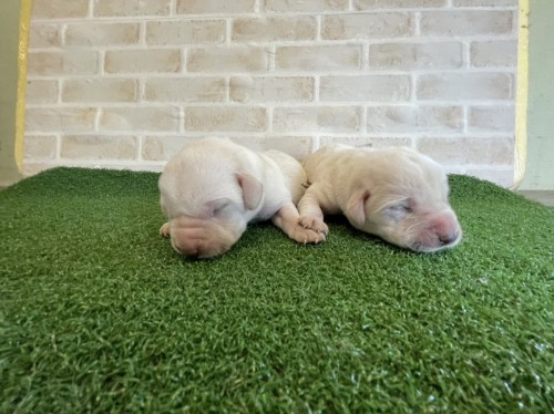 写真 2023-06-17 14 55 58