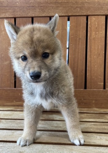 写真 2023-06-08 13 54 42