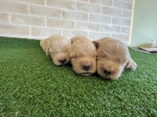 写真 2023-06-17 14 55 58 (1)