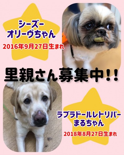 A7FD1826-1BC6-456D-B7C8-D9C690DC5D7D