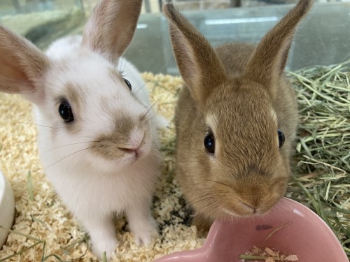 写真 2023-09-26 15 28 45