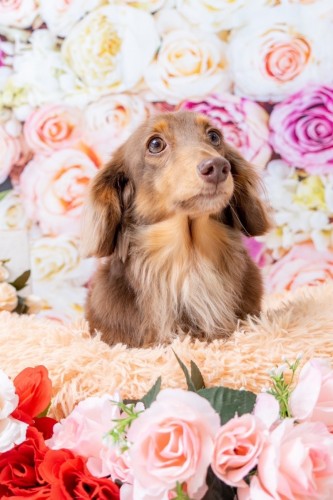 写真 2023-09-08 12 21 15