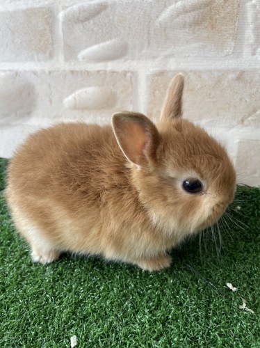 写真 2023-09-20 11 42 32 (1)