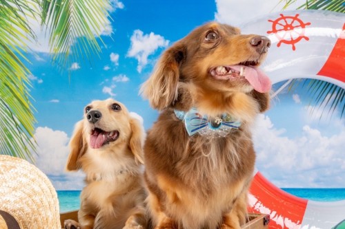 写真 2023-09-08 12 21 15 (2)