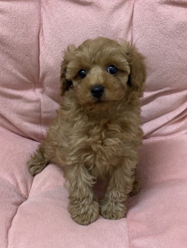 写真 2023-10-26 18 47 59